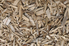 biomass boilers Stoneyburn